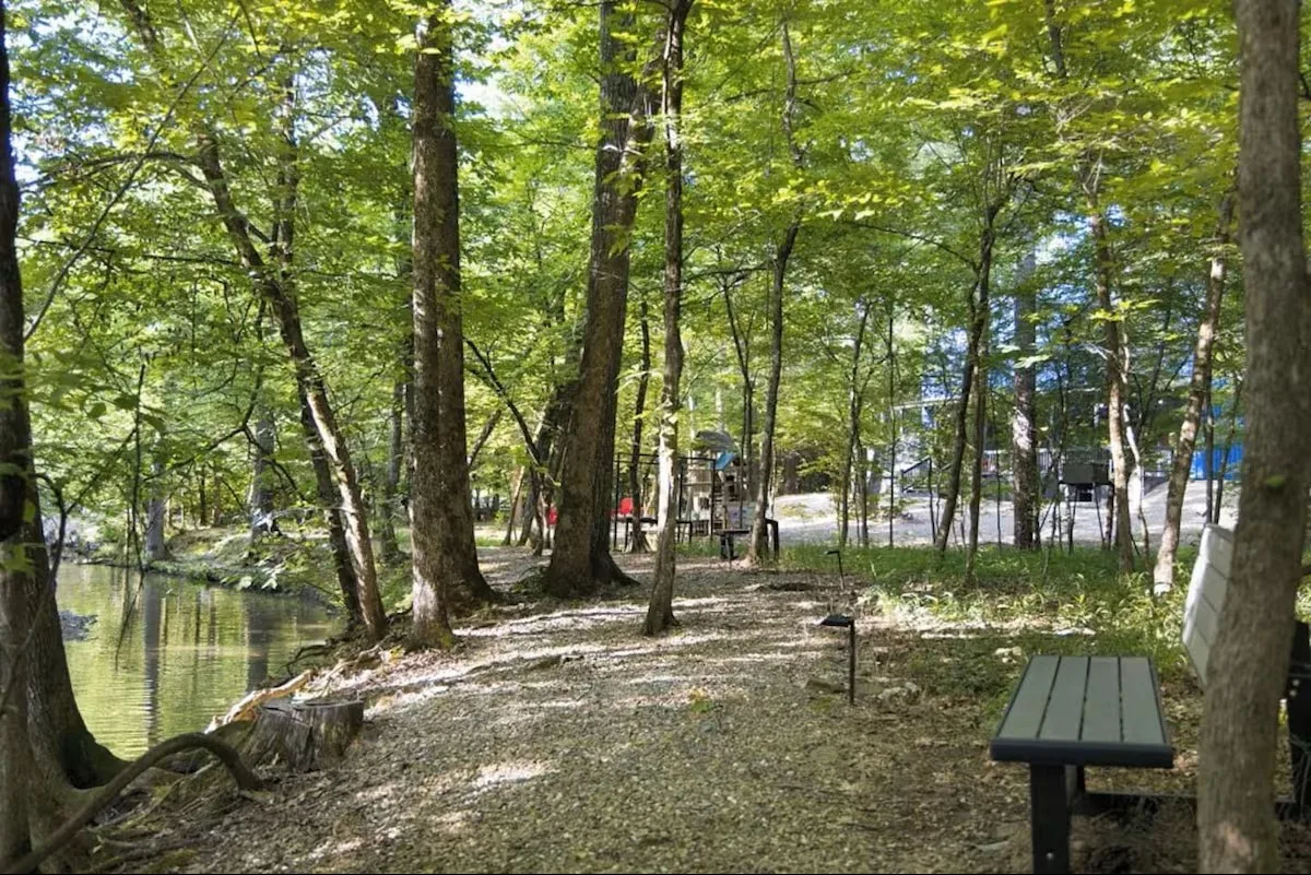 Blue Moon Creekside Lodge