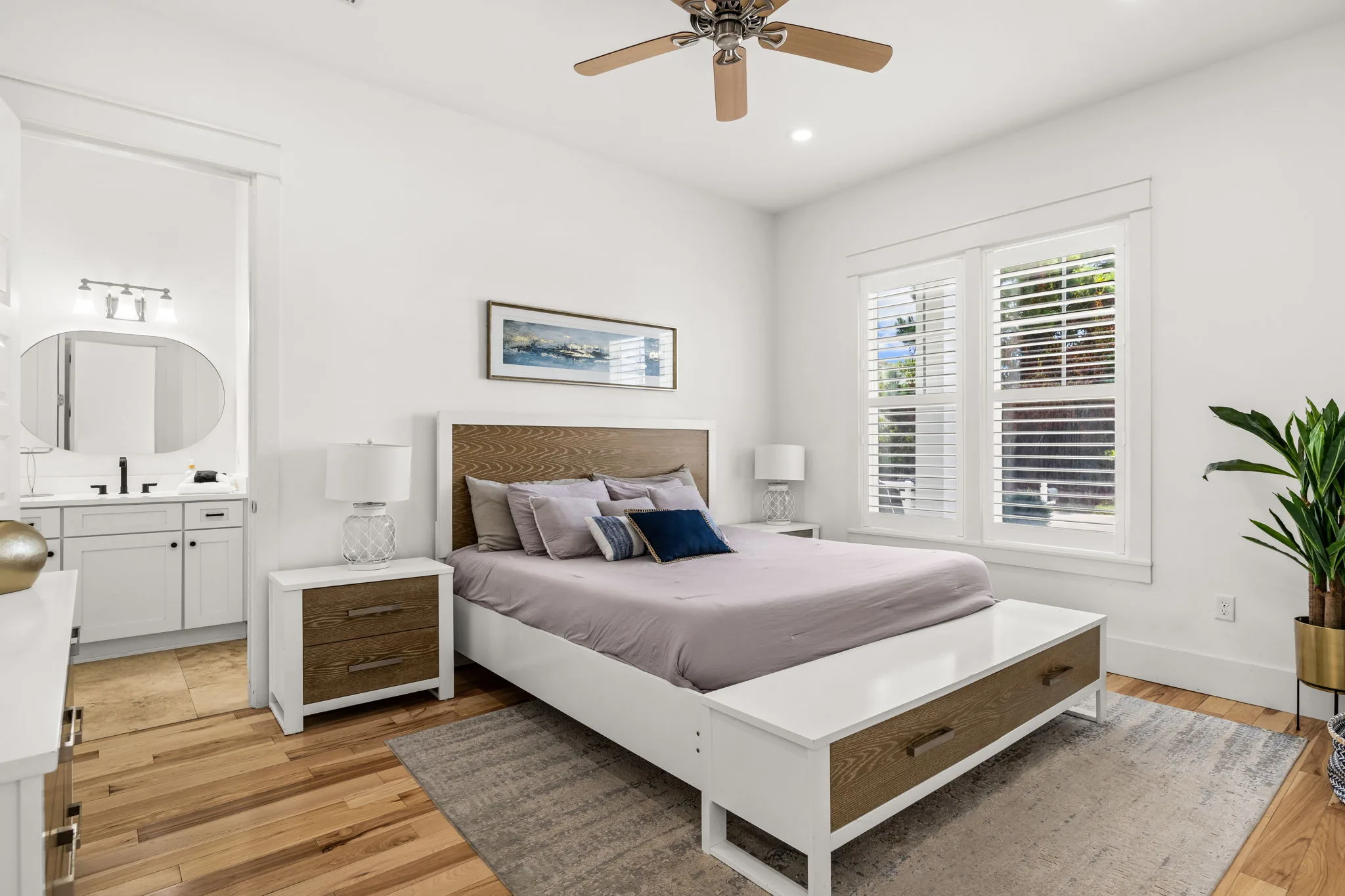 Sand Dollar Haven
