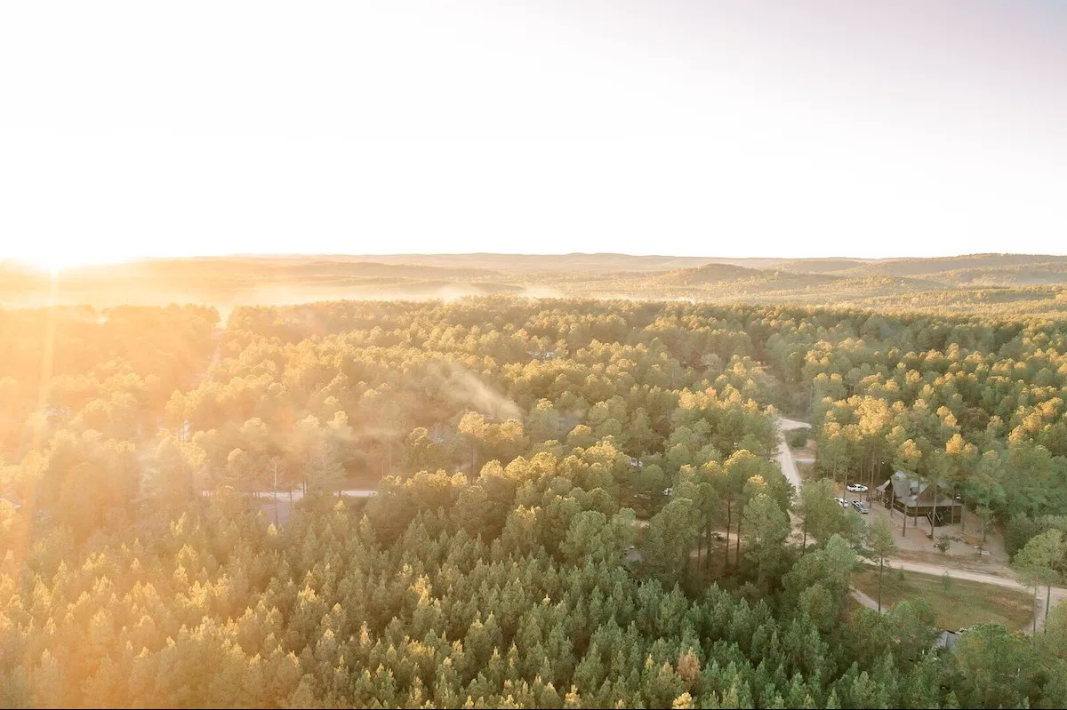Crescent Pines Hollow