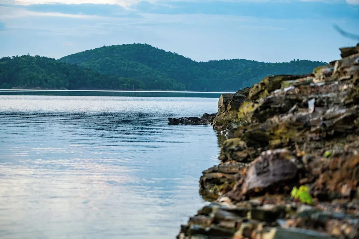 Long Horn Haven