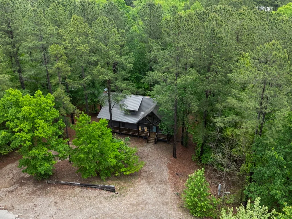 The Lola