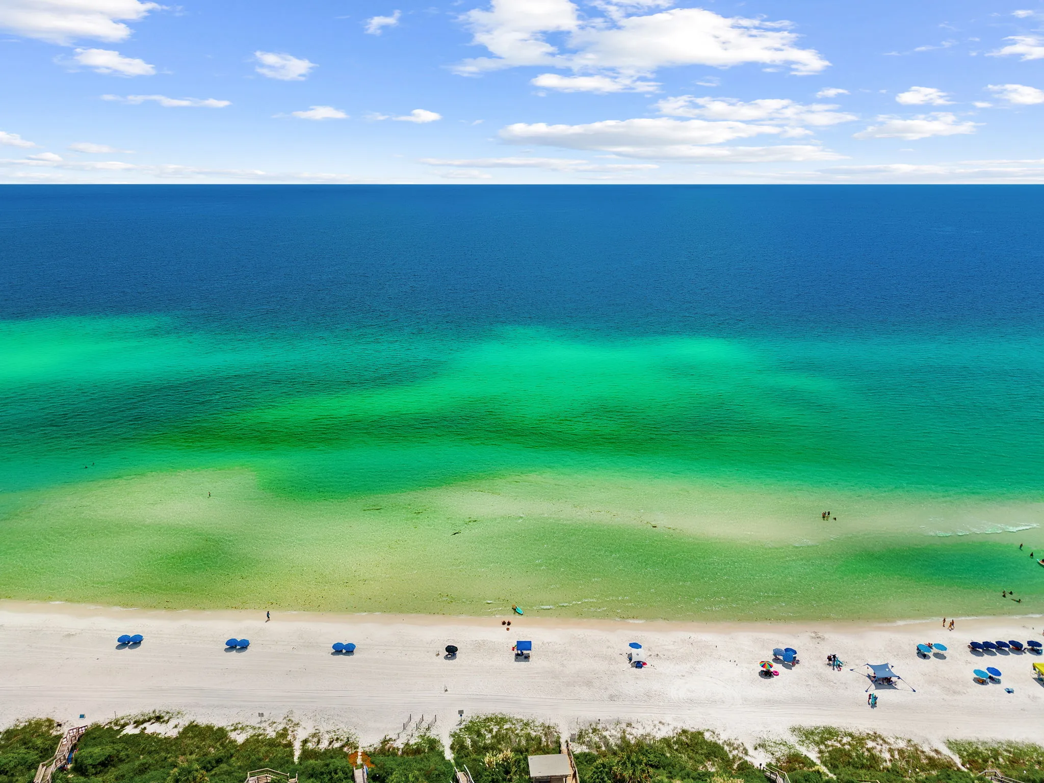 Sand Dollar Haven