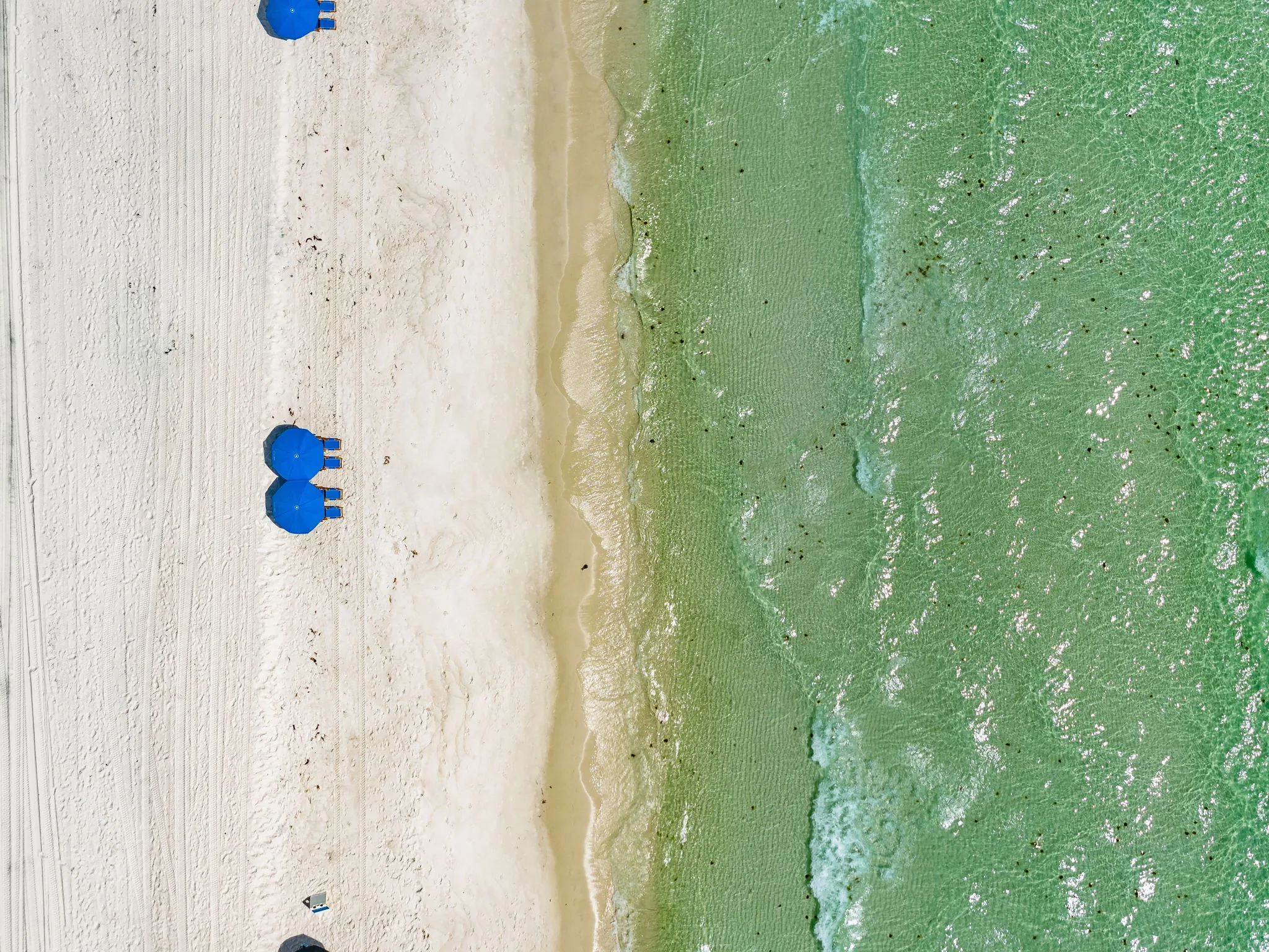 Sand Dollar Haven